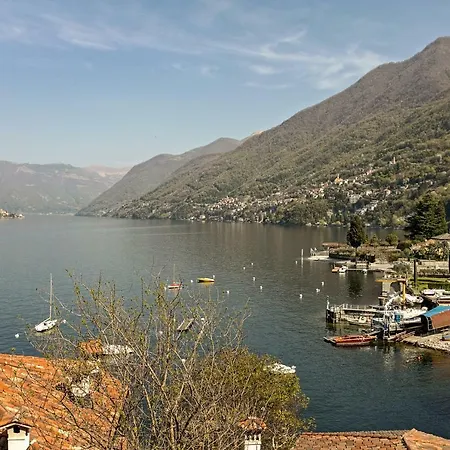 Sweet Lemna Moltrasio